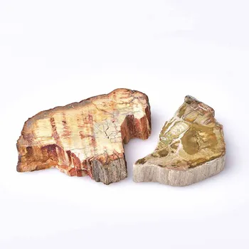 En-gros de Aproximativ 20g Naturale Xylopal Fosili Felie Placă de Cristal Copac Jad Woodstone Madagascar Minerale-Specimen de Decor Acasă