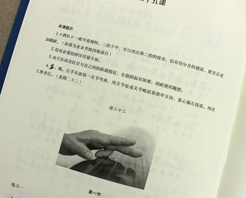 Guqin 30 de Lecții Tutorial Li Fengyun de Auto-studiu Video Incepatori Curs de Manual de Cărți Zero Fundația Noțiuni de bază Tutorial